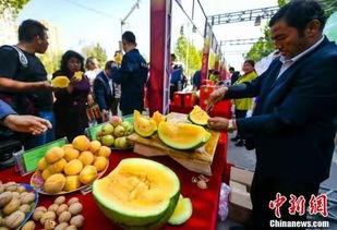 潍坊吃瓜最新爆料新闻,最新爆料揭秘幕后真相