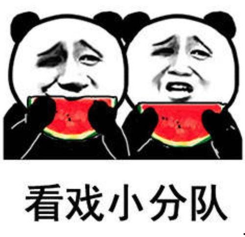 娱乐吃瓜表情包