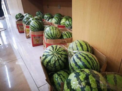 网红王大炮吃瓜图片,揭秘娱乐圈幕后真相