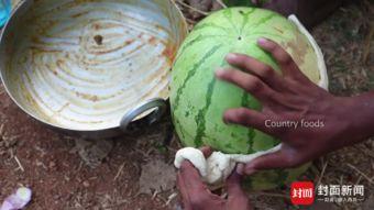 网红农村吃自己瓜,网红农村自产瓜果美食之旅