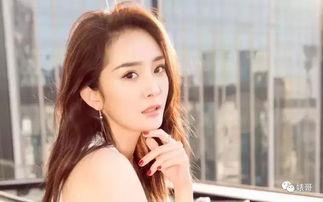 娱乐圈吃瓜明星杨幂是谁,娱乐圈吃瓜明星的华丽蜕变